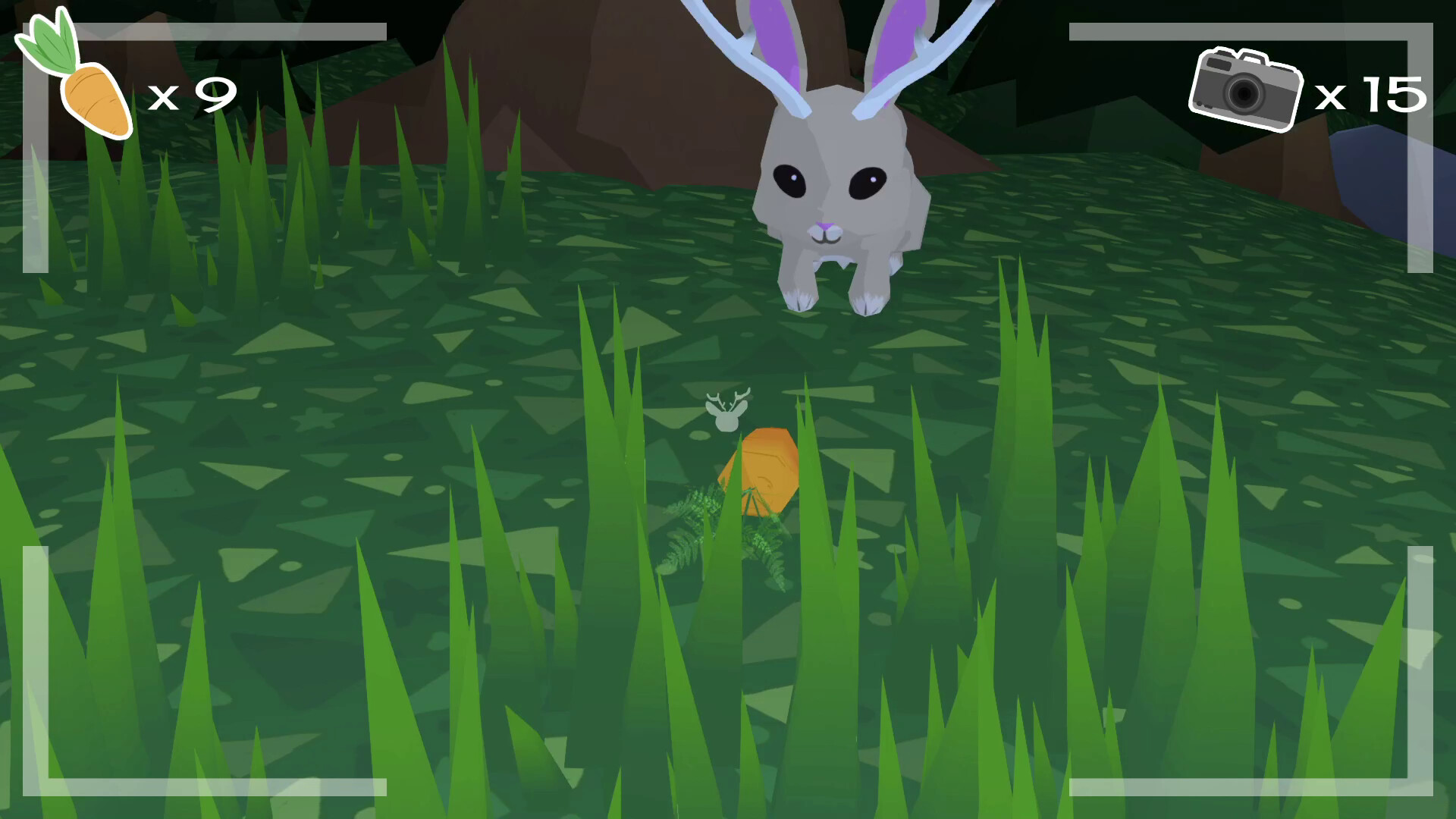 CryptidCam Screenshot 0