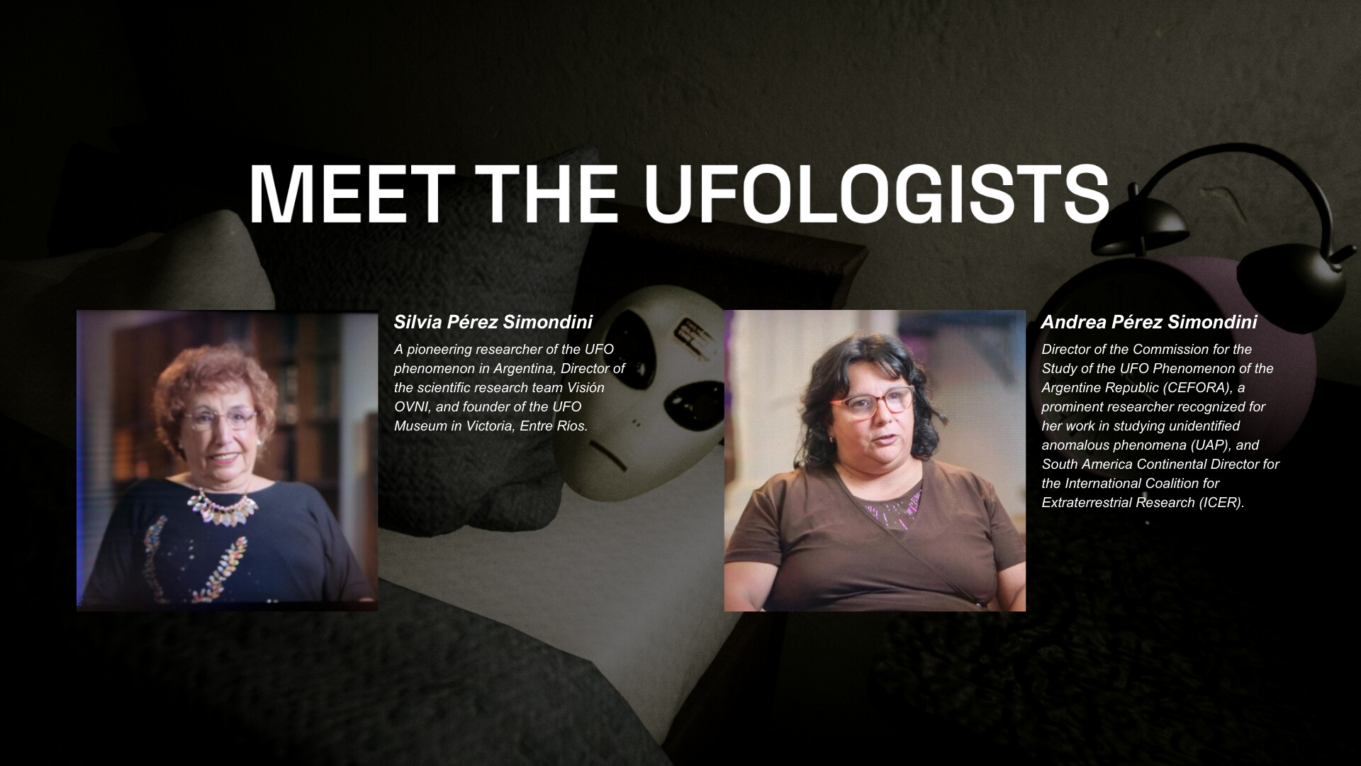 Who Are You!? Screenshot 1