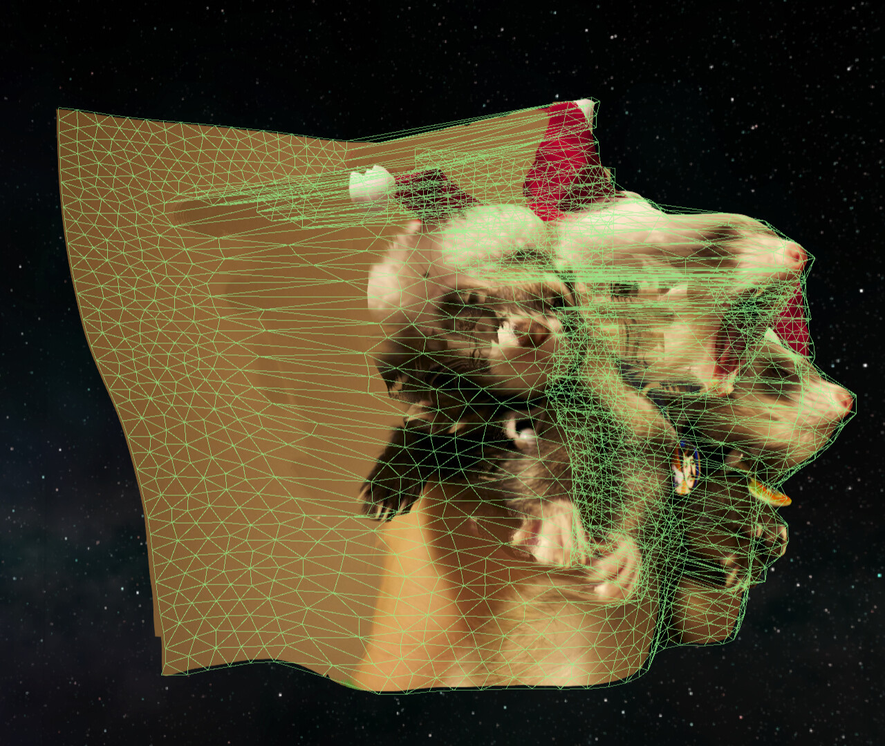 AutoDepth Image Viewer Screenshot 2