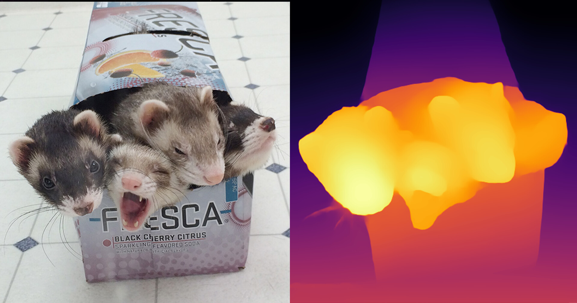 AutoDepth Image Viewer Screenshot 4