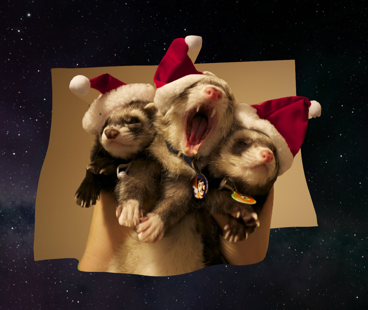 AutoDepth Image Viewer Screenshot 1