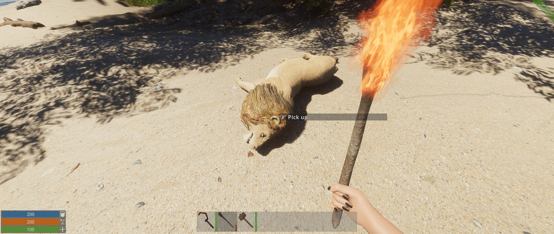 Lost World Screenshot 15