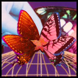 Evening Starr (Reprise) icon