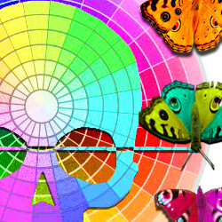 Butterfly Collector icon