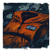 A Photo of the Life Jacket Graveyard icon