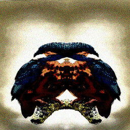 Tweet! Tweet. Tweet...