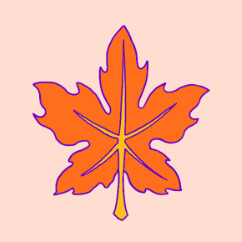 Majestic Maple icon