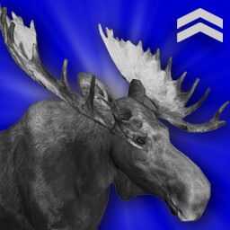 Moose Hunter (Intermediate) icon