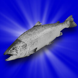 Salmon Fishing Pro icon