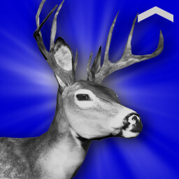 Deer Hunter (Novice) icon
