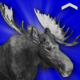 Moose Hunter (Novice) icon