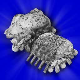 Cuisine Connoisseur icon