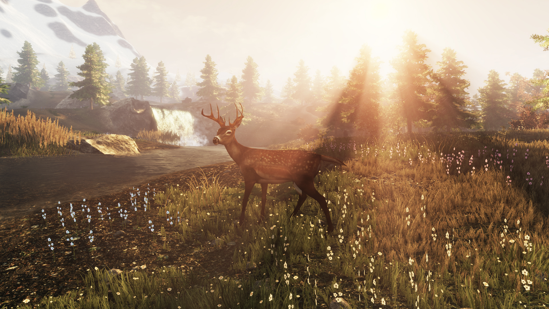 Subsistence Screenshot 22