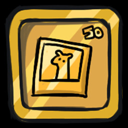 Pro photographer icon