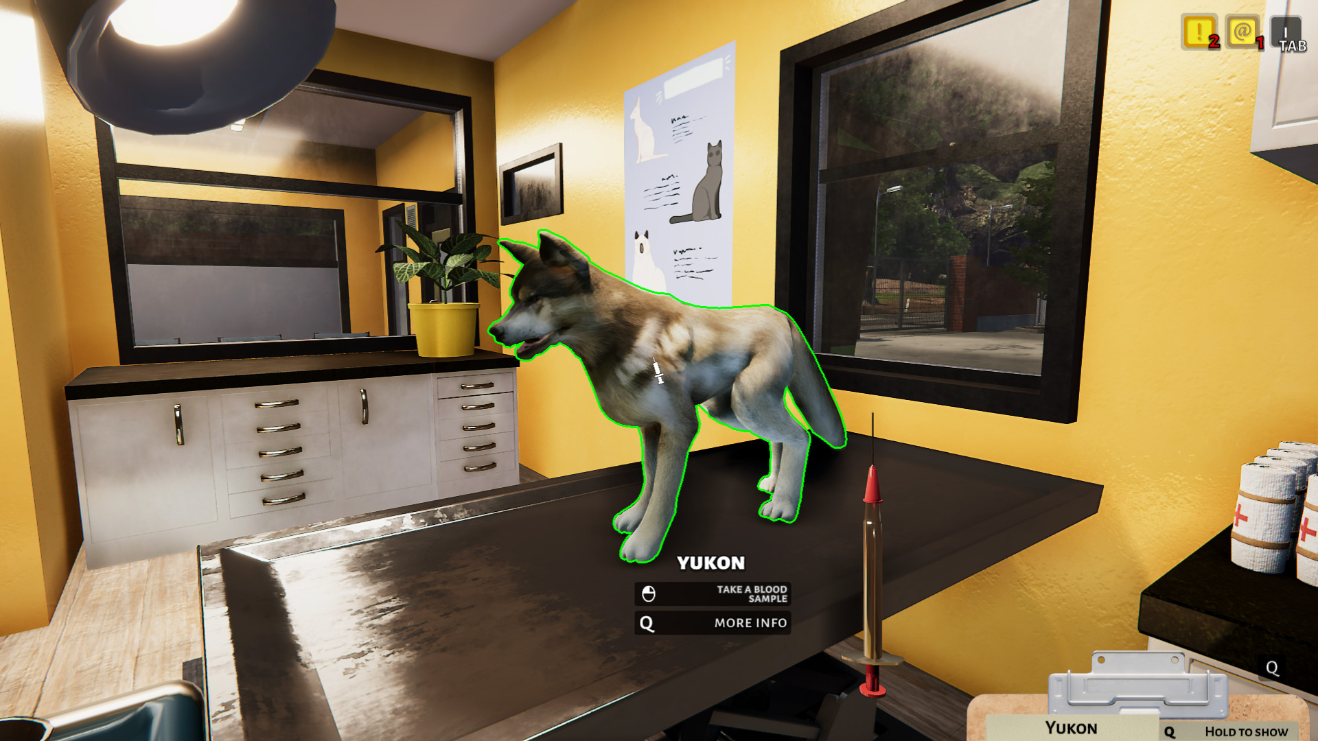 Animal Shelter Screenshot 10