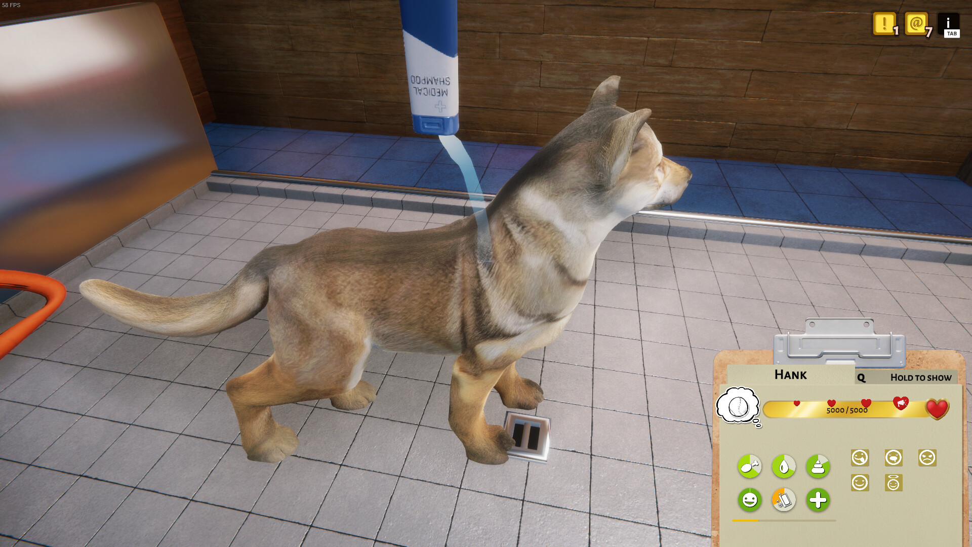 Animal Shelter Screenshot 8