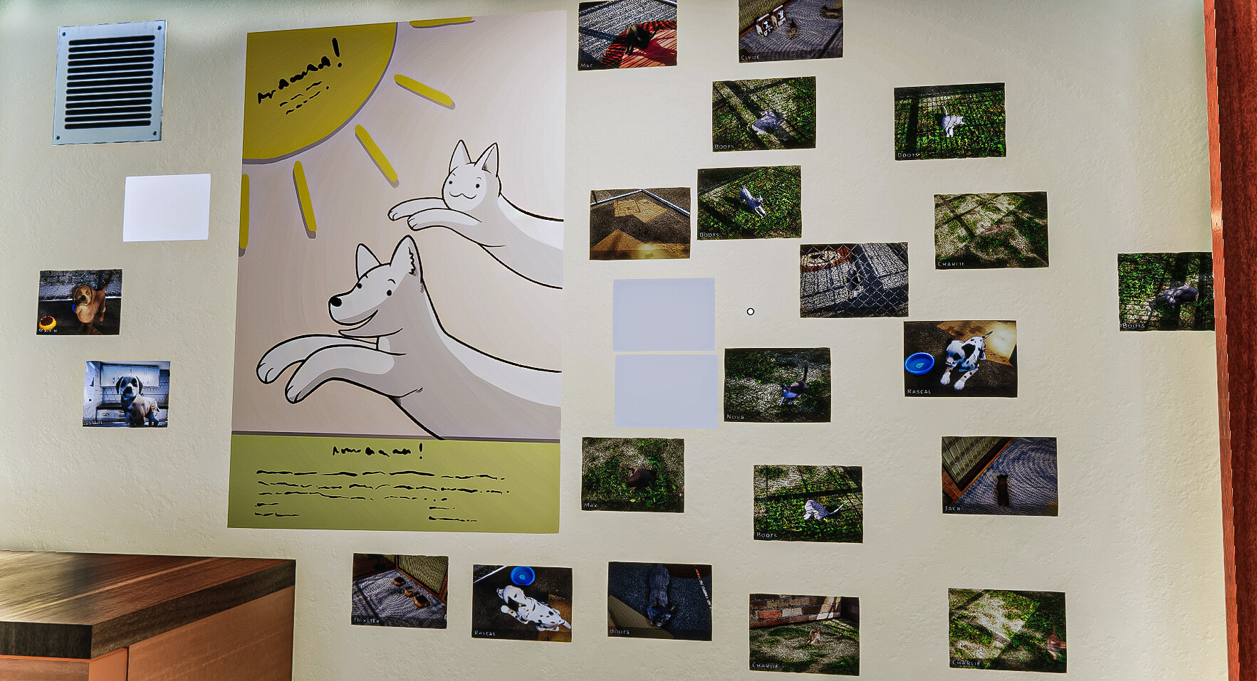 Animal Shelter Screenshot 17