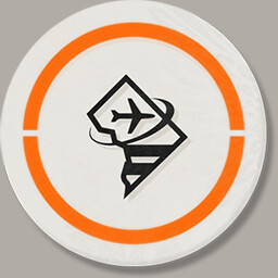 Washington Raiders icon