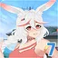 RABBIT WINNER icon