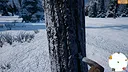 Siberian Village Screenshot 3