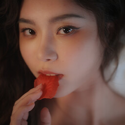 A Gallant Knight icon