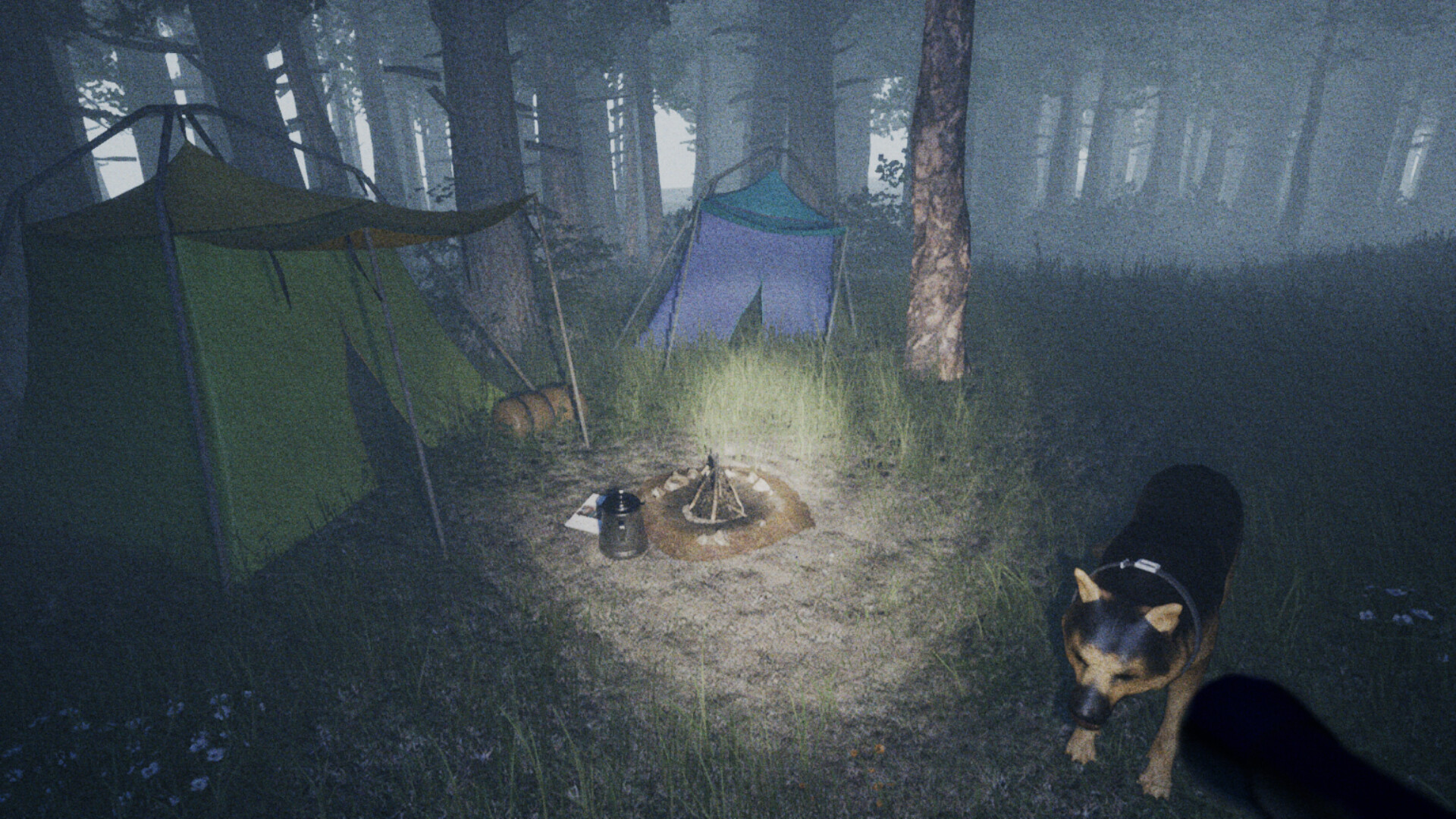 Skinwalkers Valley Screenshot 5