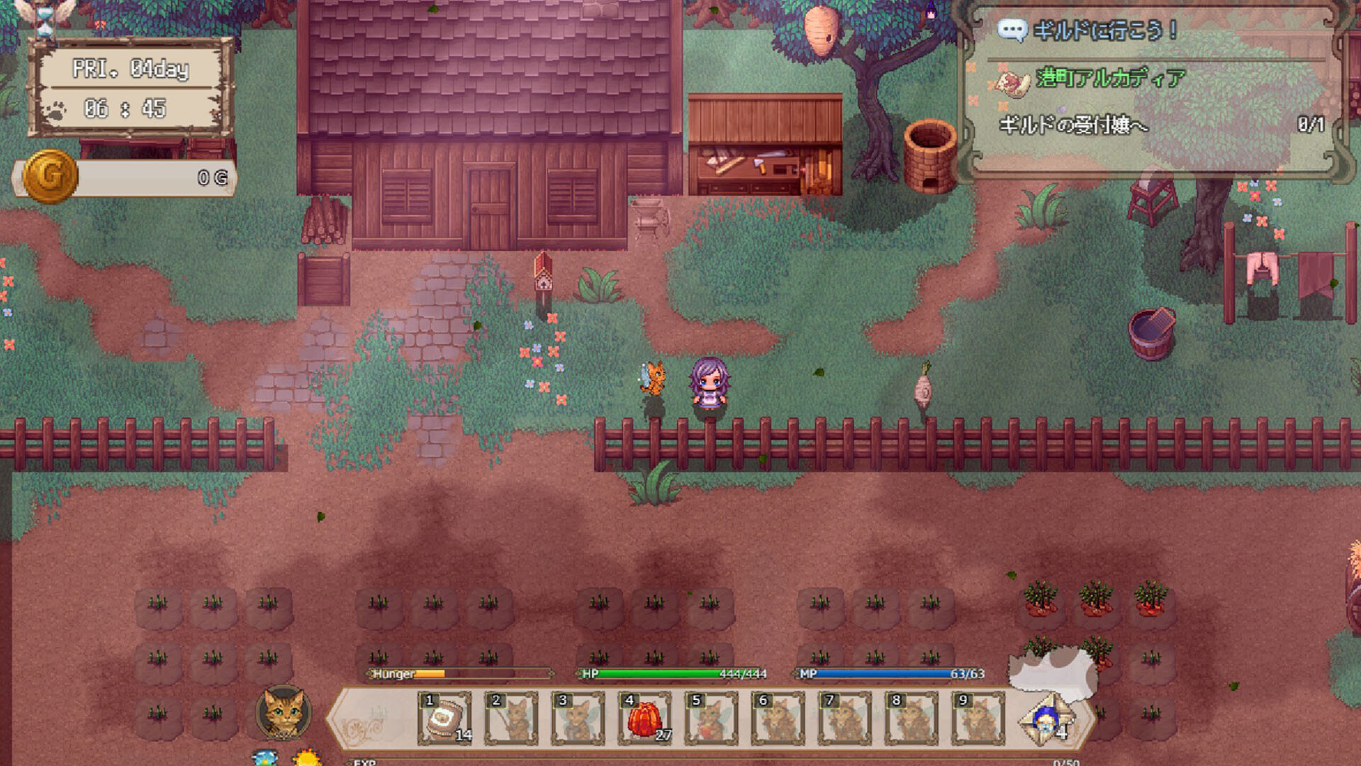 Pirate & Darkmage Screenshot 1