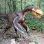 VELOCIRAPTOR icon