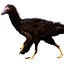 OLD BIRD icon