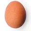 NEW EGG icon