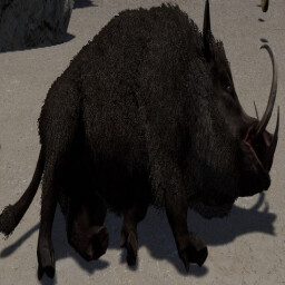 1st Boar Put To Sleep icon