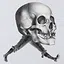 Skull Legs icon