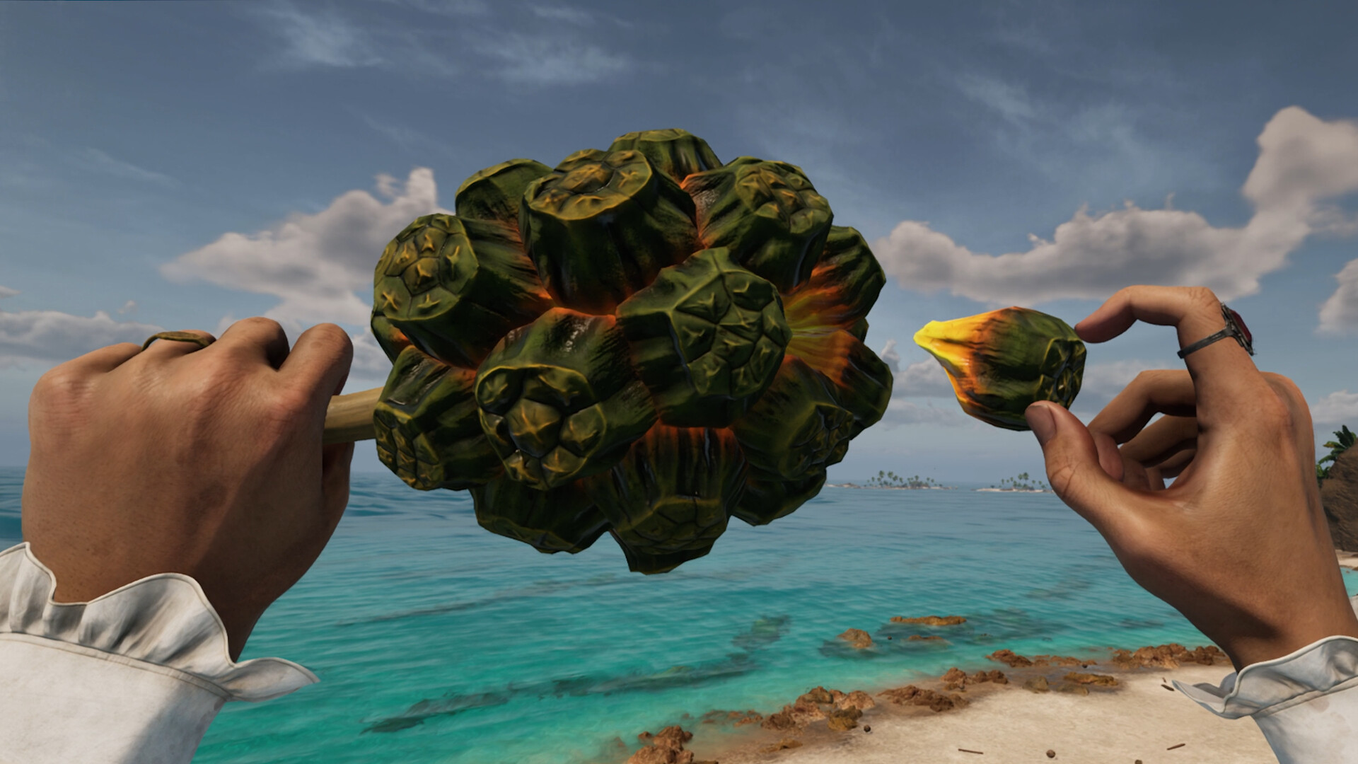 Bootstrap Island Screenshot 18