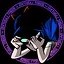 The gnomes are lying to you icon