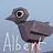 Find Albert