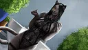 Hentai Furry 3 Screenshot 2