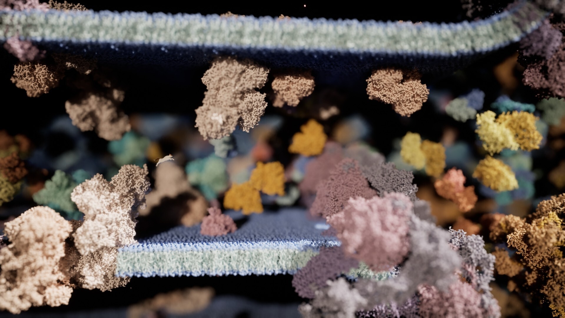 Meowtabolism - Examining Feline Behavior within Unicellular Algae Screenshot 2