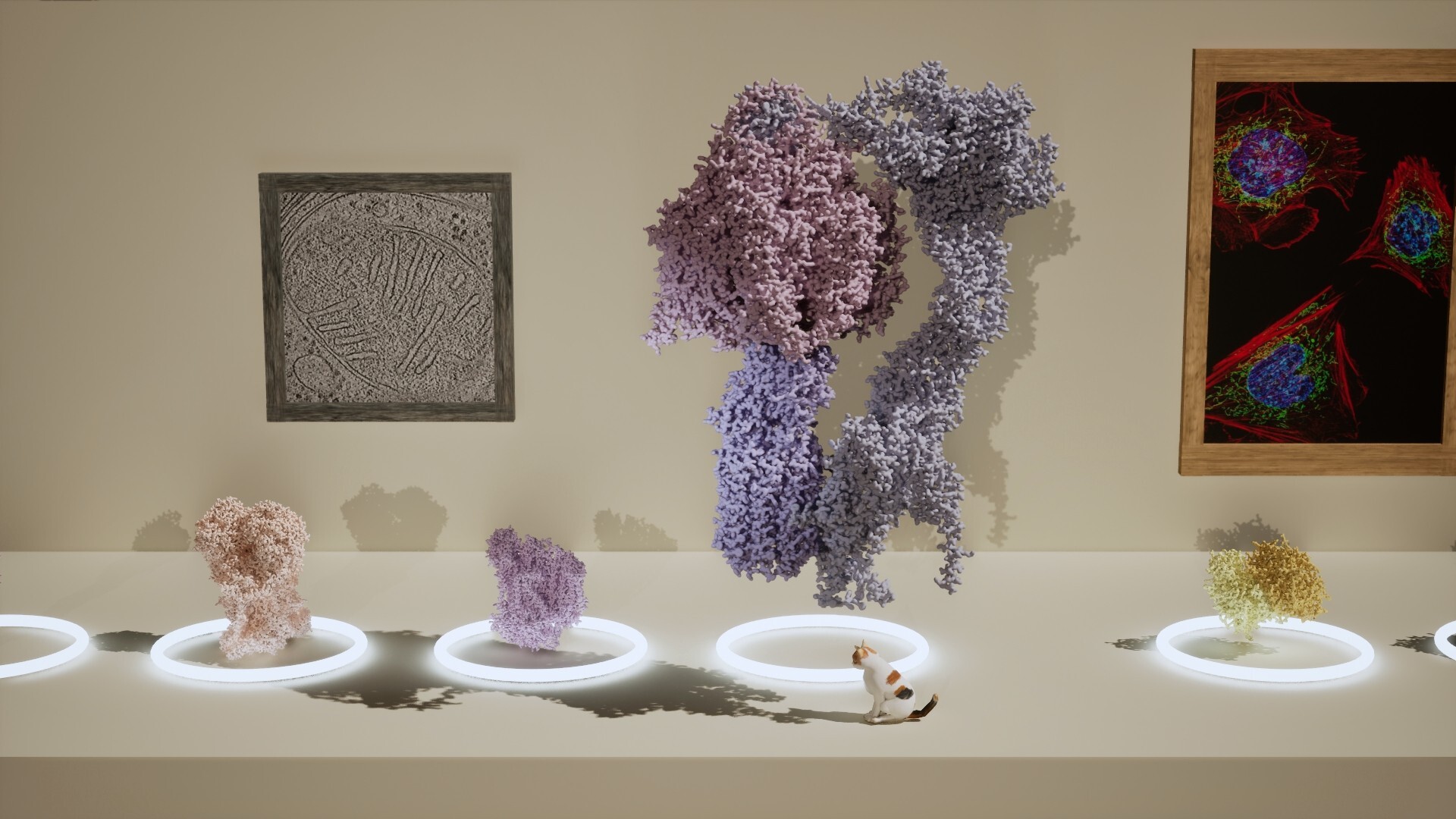 Meowtabolism - Examining Feline Behavior within Unicellular Algae Screenshot 6