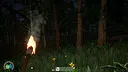 The Woods Screenshot 2