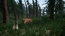The Woods Screenshot 6