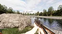 Survive The Forest Screenshot 3
