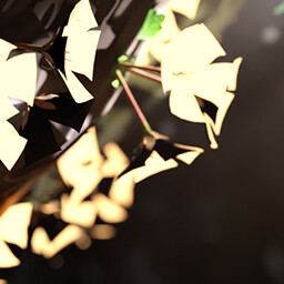 Anna's Secret Place icon