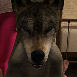 A New Pet For Susan icon