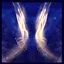 Journey begins icon