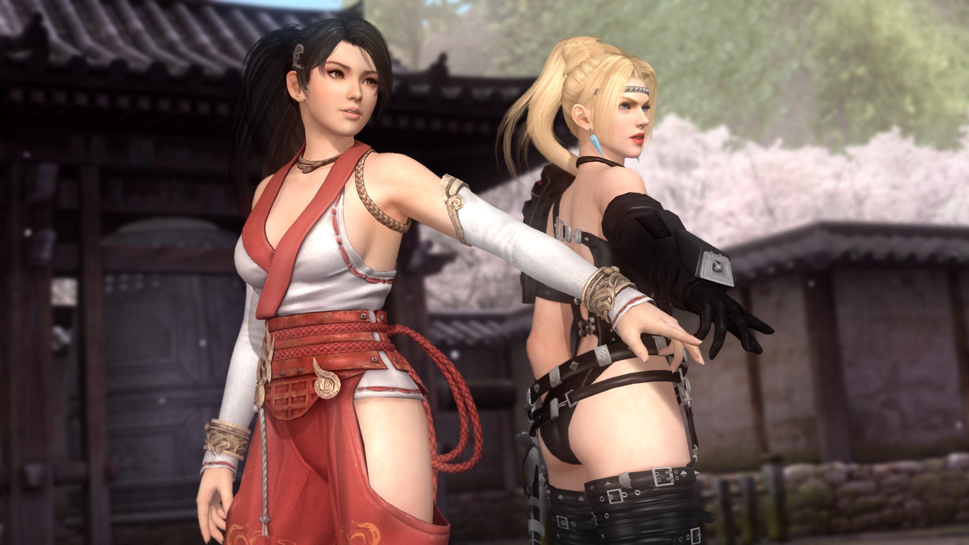 DEAD OR ALIVE 5 Last Round: Core Fighters Screenshot 3