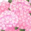 HE 1 icon