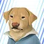 I've Mine icon