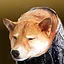 Clean Slate icon