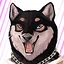 Fort Joy icon