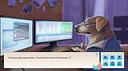 Autumn with the Shiba Inu Screenshot 0